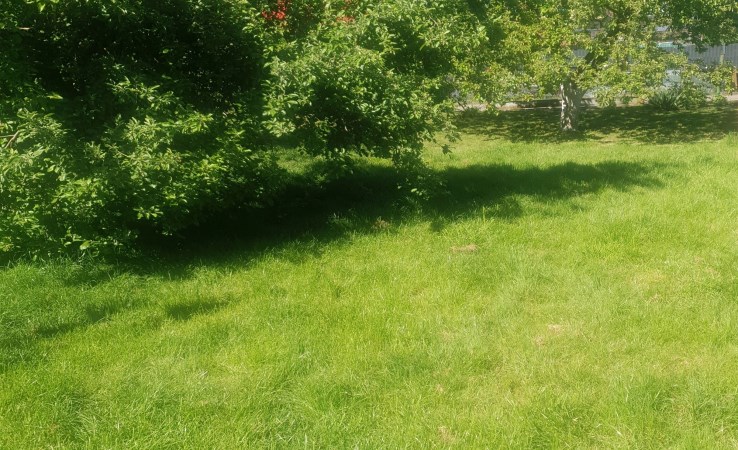 parcel for sale - Kobylnica