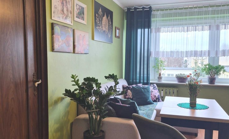 mieszkanie na sprzedaż - 